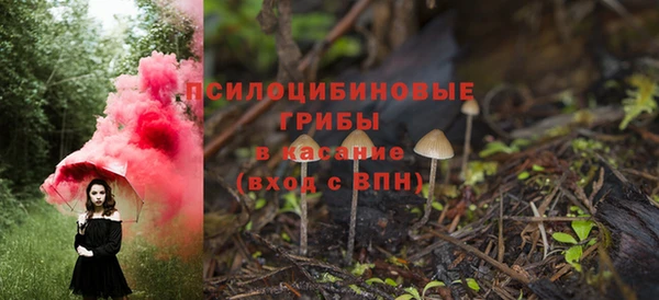 молекула духа Алзамай