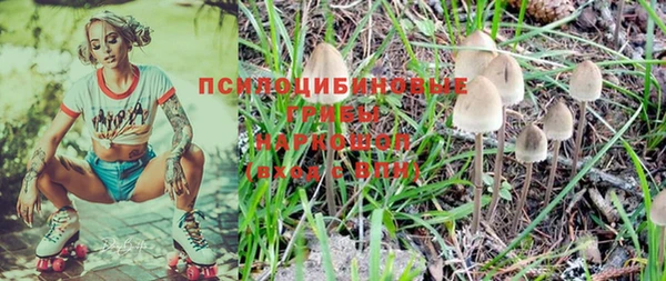 молекула духа Алзамай