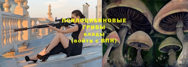 молекула духа Алзамай